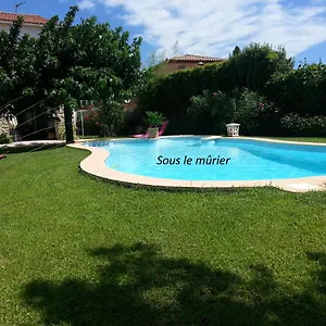 Sous Le Mûrier Couette-café